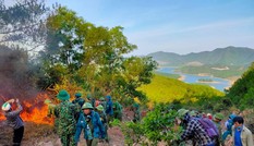 Trắng đêm cứu rừng ở 'chảo lửa' miền Trung