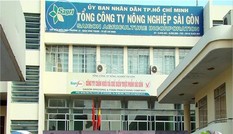'Thương vụ' du lịch bạc tỷ của Sagri: Bắt nhiều đối tượng liên quan
