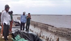 Dự án nâng cấp đê biển Tây ở Cà Mau: Lộ nhiều sai phạm