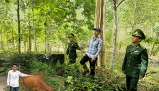 Giúp người lầm lạc tìm về nẻo thiện