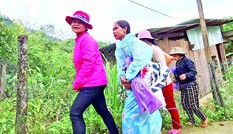 Mầm hy vọng trên miền đất lở