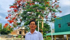Thầy giáo nuôi nhiều trò mồ côi