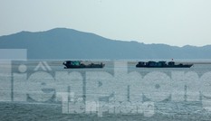 Dân phản đối đại dự án khai thác cát biển vùng biên: Tỉnh Quảng Ninh nói gì?