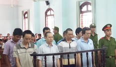 Truy tố 7 lãnh đạo doanh nghiệp 'hối lộ' cán bộ thanh tra giao thông