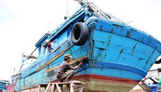 Sống lại những con tàu sau bão