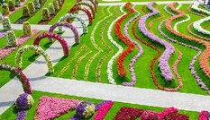 Dạo chơi ở khu vườn thần tiên giữa sa mạc