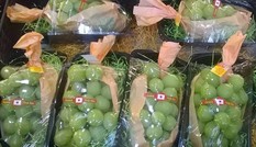 Nho xanh 1,3 triệu/kg: Đắt vô địch, Hà thành tranh mua