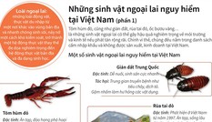 Những sinh vật ngoại lai vô cùng nguy hiểm tại Việt Nam