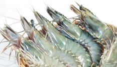 Cách xào hải sản chua ngọt hấp dẫn, ăn kèm cơm nóng ngày mưa