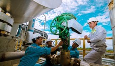 NPK Cà Mau gia nhập thị trường phân bón chất lượng cao