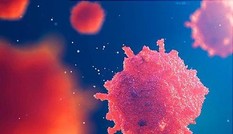 Tumolung – Bước đột phá mới trong việc phòng ngừa và hỗ trợ điều trị u phổi