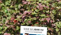 Nhà sách Tiền Phong giới thiệu sách mới dành cho sinh viên “Bước ra thế giới”