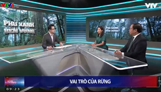 Sự kiện và bình luận VTV1 – Chương trình truyền hình chính luận nổi bật năm 2020