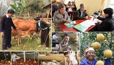 Ngân hàng chính sách góp phần vào mục tiêu giảm nghèo hiệu quả