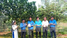 Bình Phước khởi động Tháng Thanh niên với chuỗi hoạt động ý nghĩa