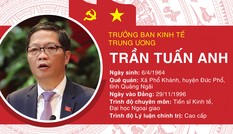 Chân dung Trưởng Ban Kinh tế Trung ương Trần Tuấn Anh