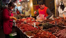 Dân mạng Trung - Hàn tranh luận về món kimchi