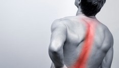 Thực phẩm giảm đau lưng cực tốt, bán rẻ như bèo ở Việt Nam
