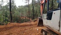 Vụ đốn cây mở đường cao tốc đe dọa người đi trên QL1: Báo cáo thiếu trung thực?