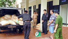 Quảng Nam: Bắt xe tải nghi vận chuyển hơn 600kg cyanua