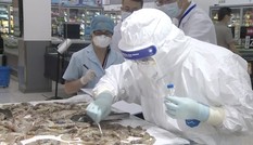 Tổ chức Y tế Thế giới lên tiếng về nguy cơ lây nhiễm COVID-19 qua thực phẩm hay bao bì