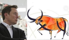 Mùng 1 Tết, tỷ phú Elon Musk đăng bài chúc mừng năm Tân Sửu, cư dân mạng phát hiện ngay điều thú vị