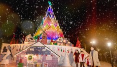 Hà Nội: Bạn đã kịp check-in cùng “cây măng Noel” đẹp như ở trời Âu chưa?