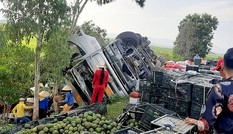 Lật xe tải, hàng tấn cam tràn xuống đường, người dân nhặt giúp không sót quà nào