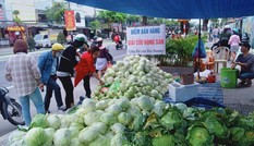 Tình nguyện viên Đà Nẵng giải cứu hàng trăm tấn nông sản Hải Dương