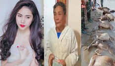 Thủy Tiên tặng bác nông dân 200 triệu trả ngân hàng: Một là cứu cả, hai là không...