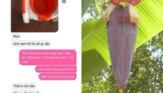 Cô gái khóc thét đòi chia tay vì thường xuyên nhận những món quà “khó đỡ” từ bạn trai