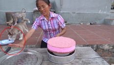 Bà Tân Vlog “đổi gió” với món ăn sang xịn nhưng dân mạng lại “soi” ra điểm bất thường này