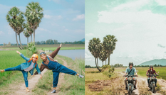 Rủ ngay hội bạn thân tới chụp ảnh “sống ảo” với cây thốt nốt hình trái tim ở An Giang nào!