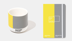 Pantone công bố hai “Màu sắc của năm 2021”: Tưởng đối lập nhưng lại rất ý nghĩa!