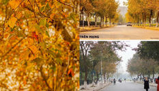 Con đường lá phong đỏ được mệnh danh “Seoul giữa lòng Hà Nội“: Ảnh thực tế khác xa!