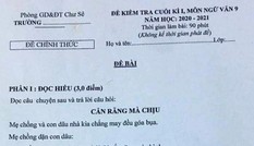 Đề kiểm tra Văn cuối kỳ lớp 9 về chuyện “mẹ chồng có bồ” gây tranh cãi gay gắt