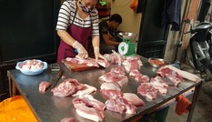 Giá lợn hơi đầu tuần tăng nhẹ, còn thiếu 200.000 con lợn cho thị trường