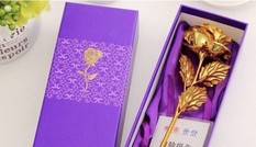 Xuất hiện hoa hồng 'mạ vàng' giá chỉ 10.000 đồng/bông