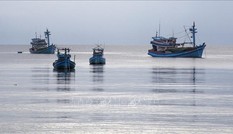 Việt Nam thực hiện nhiều khuyến nghị của EC liên quan đánh bắt IUU