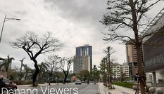 Dù khá ngổn ngang nhưng thành phố Đà Nẵng đã bình yên sau khi bão số 13 đi qua