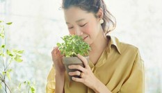 Như loài hoa vốn chỉ nở theo mùa, tình yêu có thể không là mãi mãi