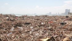 Kinh hãi với những núi rác khổng lồ trên bãi biển Đà Nẵng sau bão