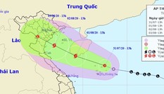 Áp thấp nhiệt đới khả năng mạnh thành bão, Ban chỉ đạo Trung ương chỉ đạo khẩn