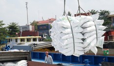 Việt Nam xuất gần 4 triệu tấn gạo đi đâu trong 7 tháng đầu năm?