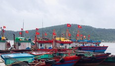 7 tỉnh cấm biển, lên kế hoạch di dời 150.000 người dân ứng phó với bão số 7