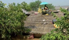 Lũ lụt khủng khiếp: 300 người chết, 6 triệu người bị ảnh hưởng