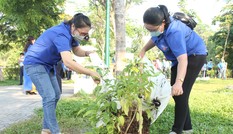 Bạn trẻ thành phố Thủ Đức ra quân trồng hàng ngàn cây xanh