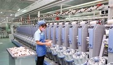 Vì sao vốn FDI từ Trung Quốc giảm mạnh? 