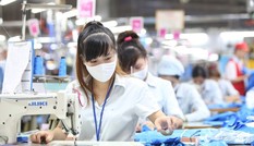32,1 triệu người bị mất việc, nghỉ luân phiên, giảm thu nhập do COVID-19