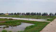 Lãnh đạo xã bị đình chỉ công tác vì bị điều tra liên quan đến vi phạm đất đai